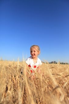 Girl In A Wheat Field Royalty Free Stock Photography