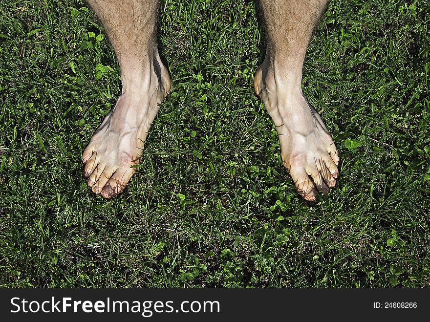 Close-up of male bare feet on green grass