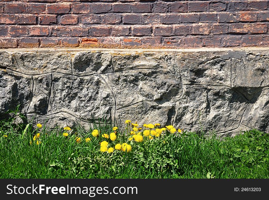 Brick and stone wall, green grass and dandelions