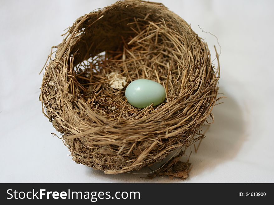 Nest Egg