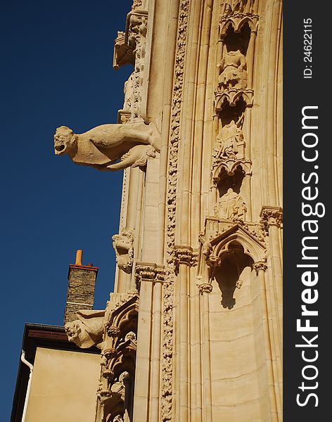 The Lyon gothic cathedral gargoyles, France. The Lyon gothic cathedral gargoyles, France.