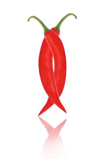 Red Hot Chili Pepper. Royalty Free Stock Images Red Hot Chili Pepper. Royalty Free Stock Images