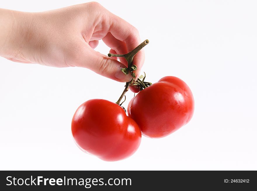 Tomatoe in the hand isolated. Tomatoe in the hand isolated