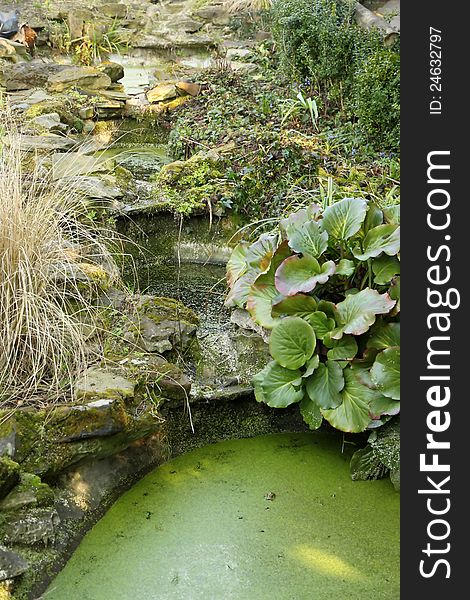 Small pond in park in springtime. Small pond in park in springtime