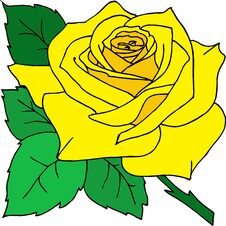 Contour Drawing Of A Yellow Rose, Yellow Graphics Stock Image