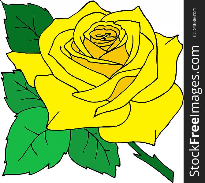 Contour Drawing Of A Yellow Rose, Yellow Graphics