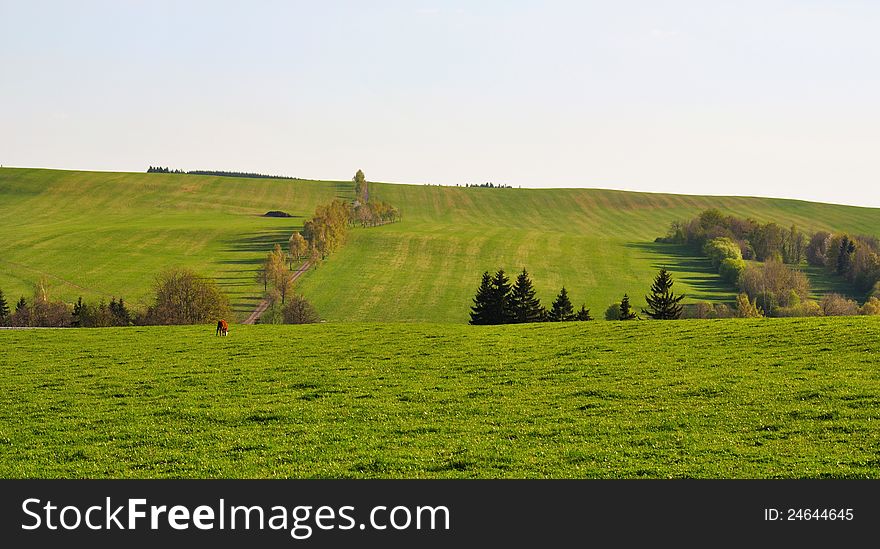 Meadow in Czech republic - landscape