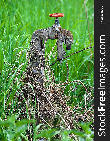 Dried up rusty faucet surrounded by green vegetation. Dried up rusty faucet surrounded by green vegetation