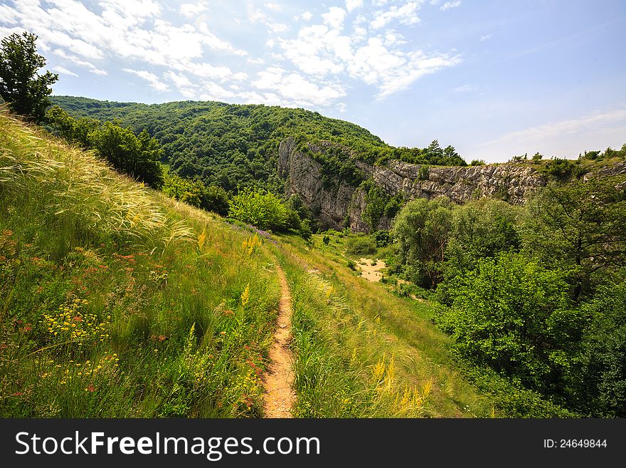 Beautiful Spring Foliage And A Mountain Forest