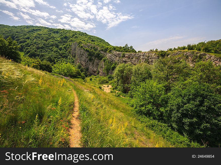 Beautiful Spring Foliage And A Mountain Forest