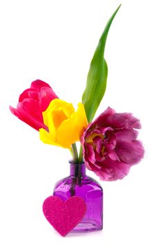 Colorful Tulips Stock Photo
