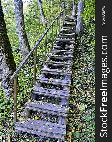 Woodland Scenery With A Stair At Autumn