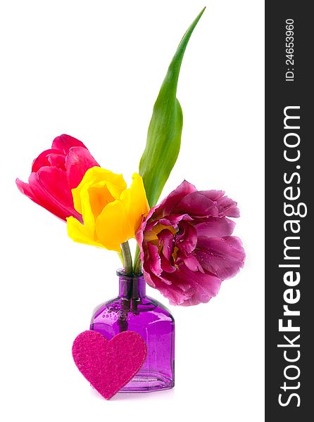 Beautiful bouquet of tulips in a purple bottle. Beautiful bouquet of tulips in a purple bottle