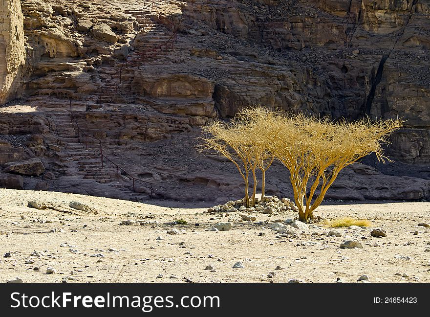 Classical biblical landscape in desert of the Negev, Israel. Classical biblical landscape in desert of the Negev, Israel