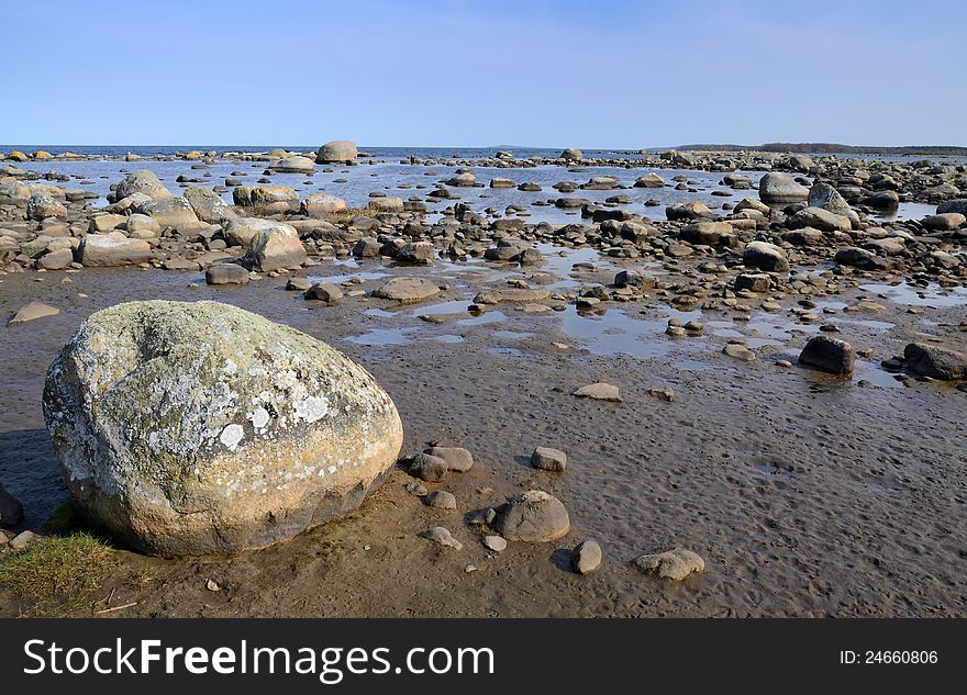 Symptom of drought on the Swedish coast. Symptom of drought on the Swedish coast