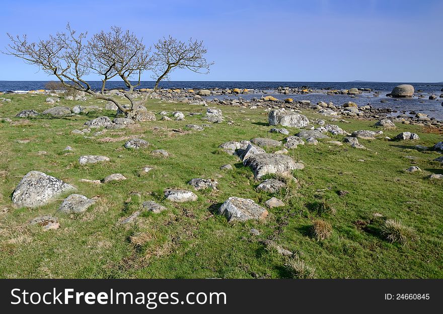 Typical Swedish coast view in early spring season. Typical Swedish coast view in early spring season
