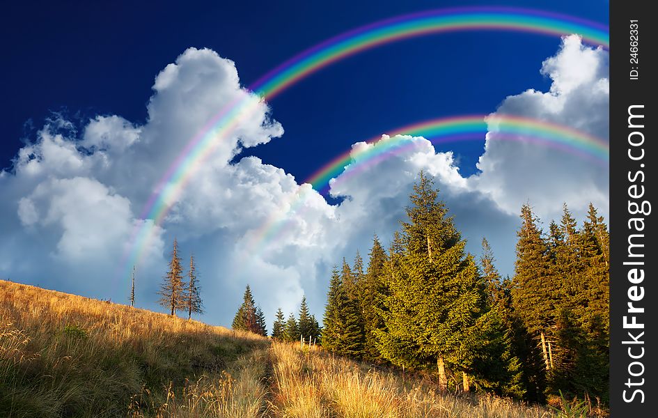 Summer landscape with a cloudy sky. Ukraine, the Carpathian mountains. Summer landscape with a cloudy sky. Ukraine, the Carpathian mountains