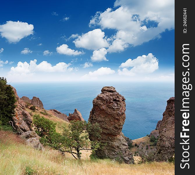 Summer landscape in the mountains