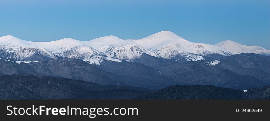 Winter landscape with fur-trees and fresh snow. Ukraine, Carpathians