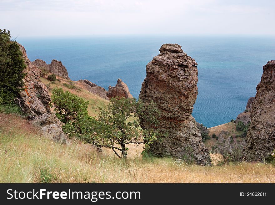 Summer Landscape In The Mountains