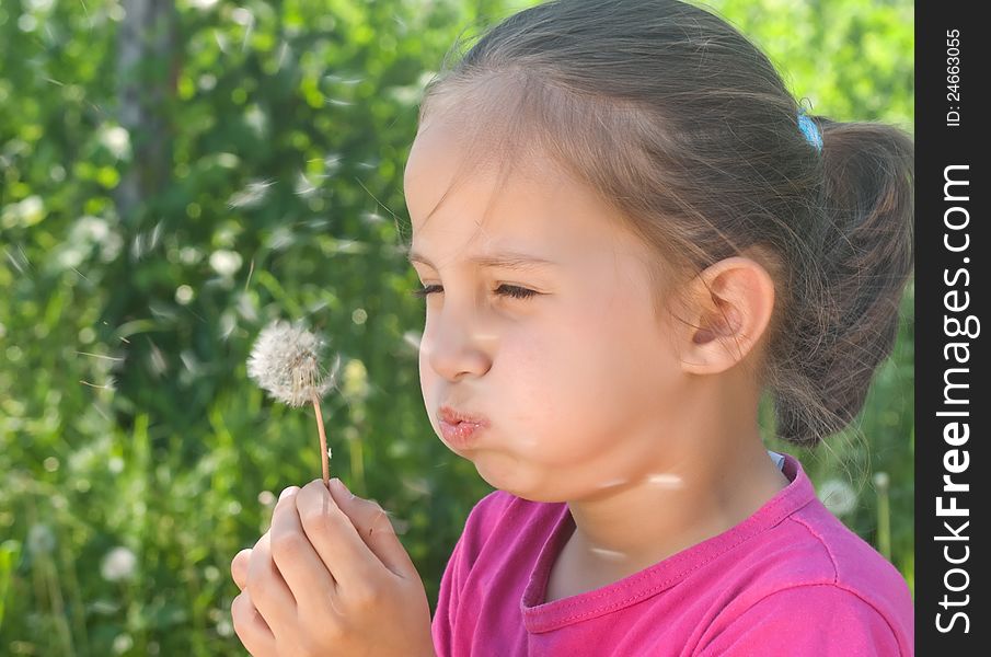 A cute child blowing a dandelion. A cute child blowing a dandelion.