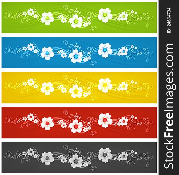 Color backgrounds with lines and white flowers, vector illustration. Color backgrounds with lines and white flowers, vector illustration