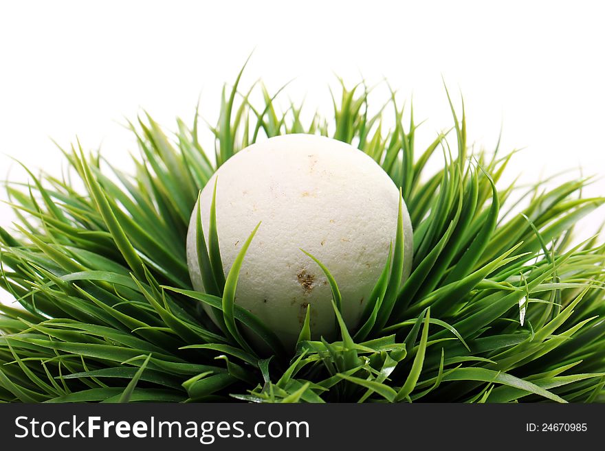 Soap for bath in grass over white background