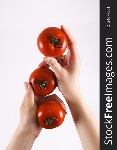Tomatoes in the hands. Tomatoes in the hands