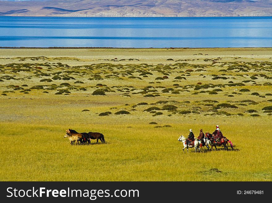 In the Holy Lake manasarovar in Ngari, Tibet, China the wrong side on horse herders. In the Holy Lake manasarovar in Ngari, Tibet, China the wrong side on horse herders