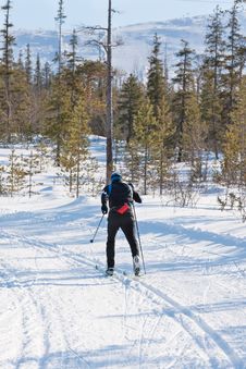 Skier Runs Cross-country Skiing Stock Image Skier Runs Cross-country Skiing Stock Image