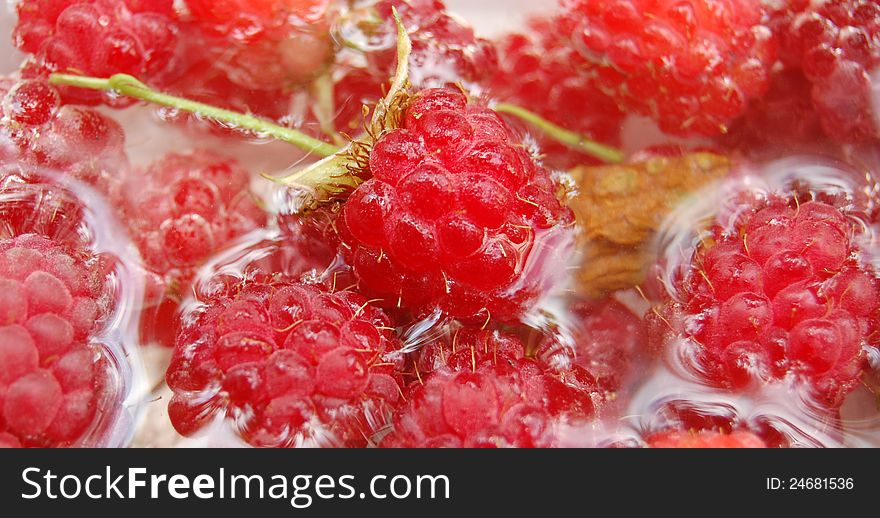 Raspberry fruit in a water