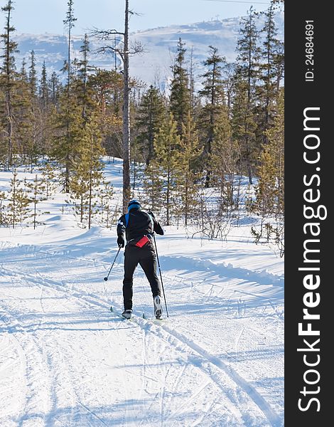 Cross-country skiing: man cross-country skiing on a sunny winter day in forest. Cross-country skiing: man cross-country skiing on a sunny winter day in forest