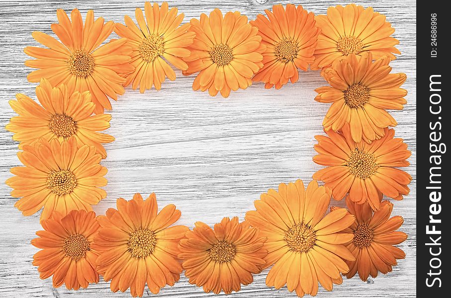 A frame made of calendula