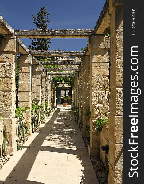 Walkway in a tropical garden on a day with a clear blue sky