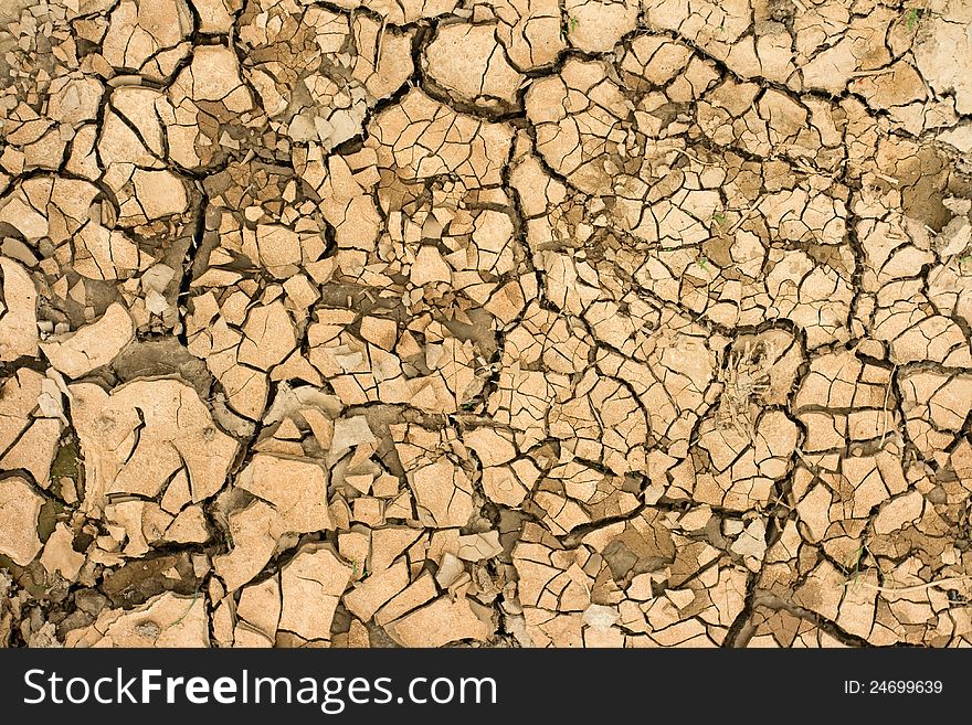 Dry and infertile ground, global warming. Dry and infertile ground, global warming