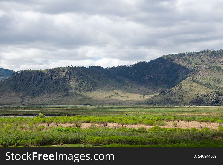 Beautiful summer landscape. Steppe and mountains.