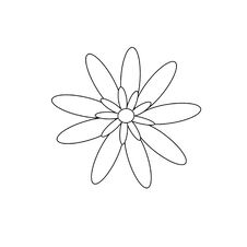 Isolated On White Background Top View. Hand Drawn Icon In A Linear Style Royalty Free Stock Image
