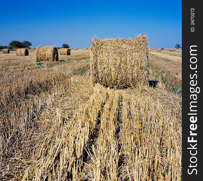 Haybale with blue sky in the background. Haybale with blue sky in the background