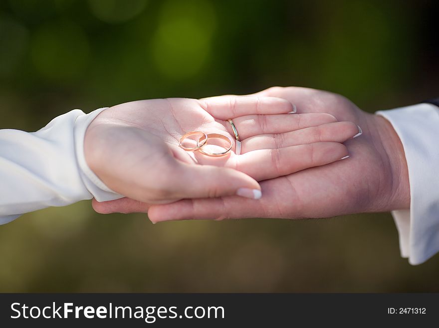 Bride and Groom's hand, showing their rings. Blurred Background. Bride and Groom's hand, showing their rings. Blurred Background.