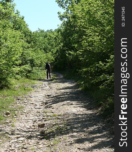 Road leaving in a distance. tourist, single, dirty, business