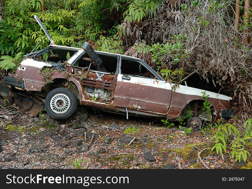Car wreck in the forest