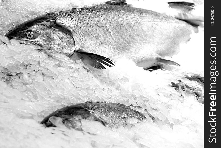Fish on ice at pike place market in seattle, washington.