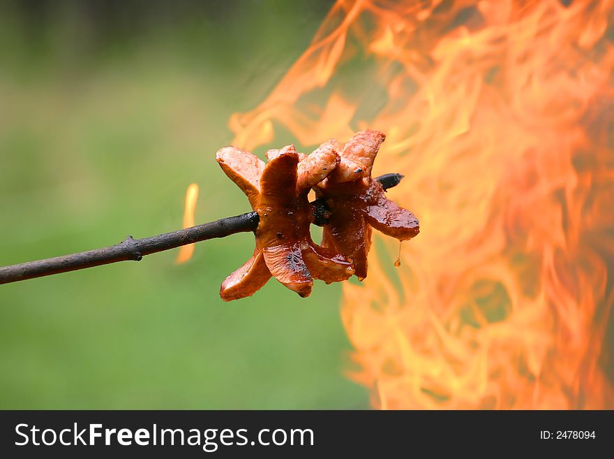 Sausage grilled above fire, detail. Sausage grilled above fire, detail