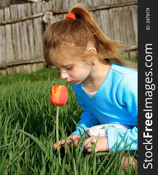 The small girl sits in a grass and noses a tulip. The small girl sits in a grass and noses a tulip