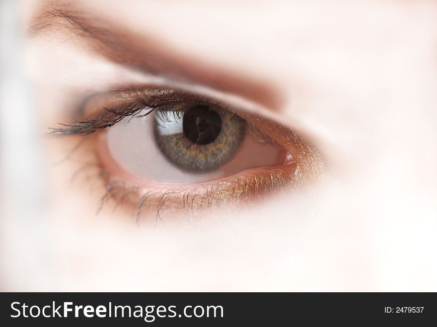 Sight, female eye, close-up