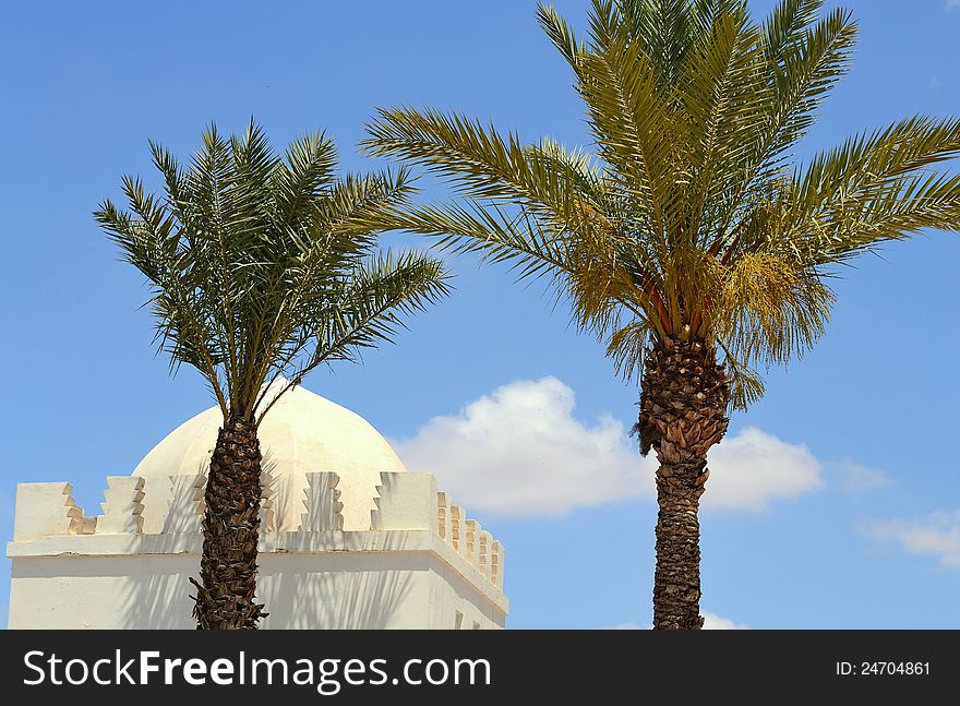 Palms and building with a blue sky. Palms and building with a blue sky