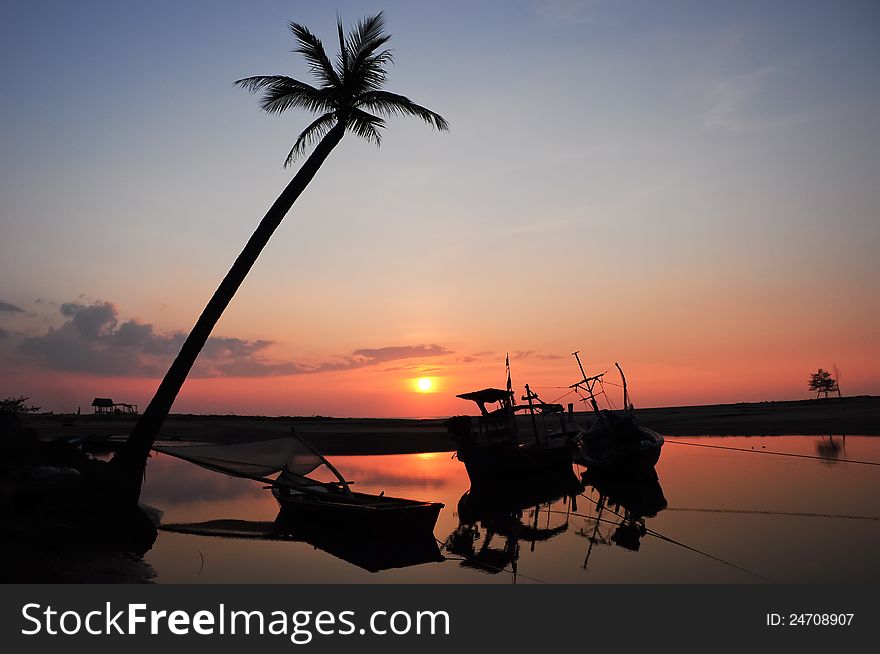 Coconut palm at the beach phangnga Thailand