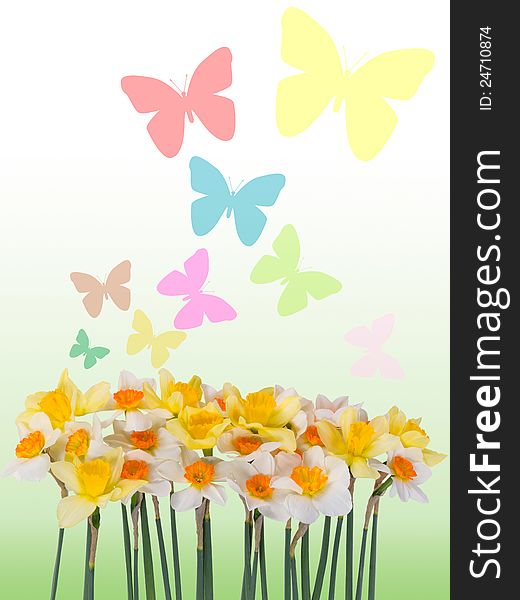 Beautiful color summer floral background with butterfly and place for sample text. Beautiful color summer floral background with butterfly and place for sample text