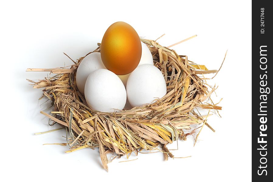 Golden egg with ordinary eggs in the nest on white background