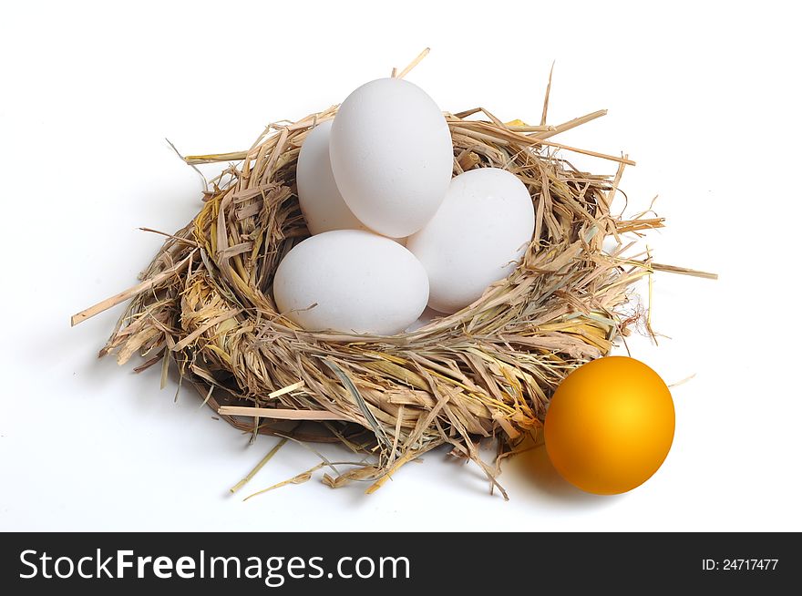 Golden egg with ordinary eggs in the nest on white background